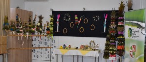 DSC_0668 (2)